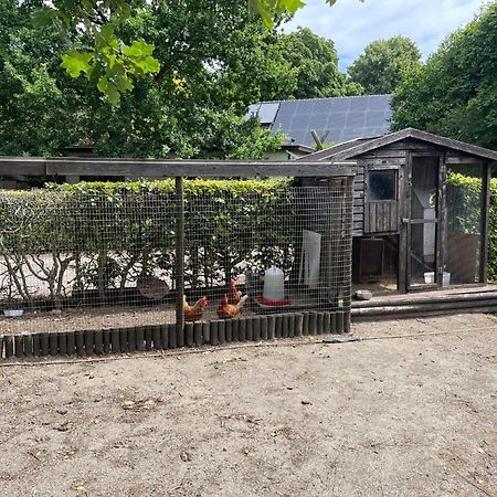 Completely Renovated Back Part Of A Farm Villa Uden Luaran gambar